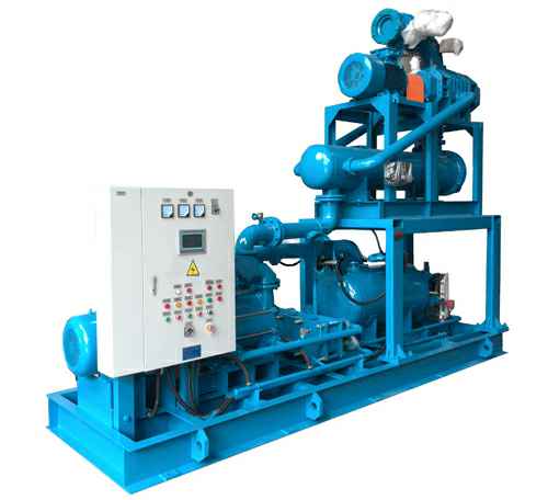 乐鱼web版登录入口-乐鱼online(中国)2BW9电厂节能真空机组