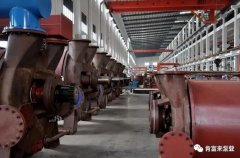 乐鱼web版登录入口-乐鱼online(中国)被评为2019年度三水区骨干企业